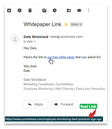 A screenshot of an email. It has a link that says "Hey Dale, here's the link to our free white paper that you asked for!". The link it leads to is seen at the bottom with a note that says "Real Link".