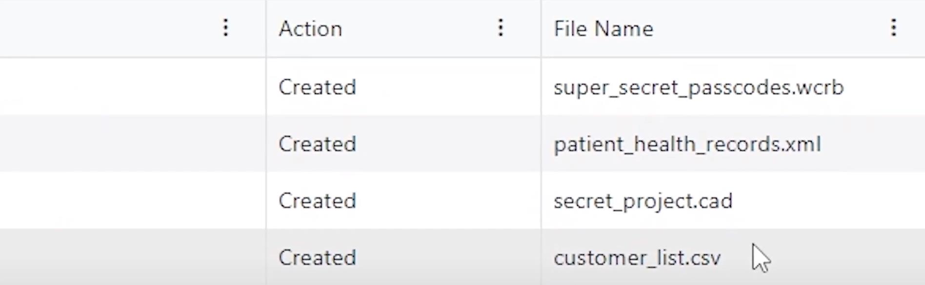Screenshot of AccessPatrol's activity log with evidence sensitive files transferred to USB storage devices