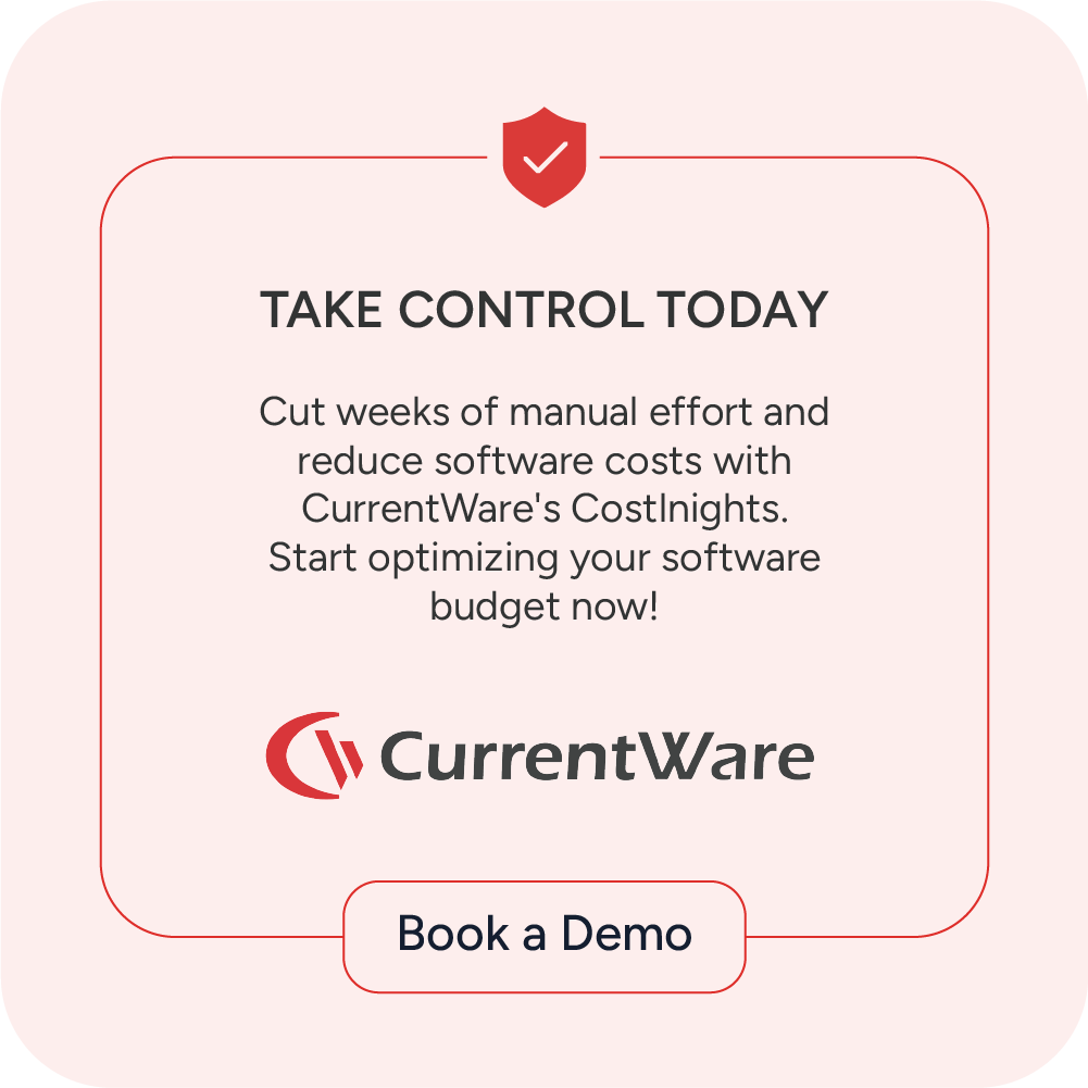 IT budget Optimization